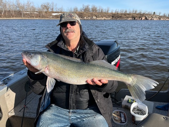 Walleye