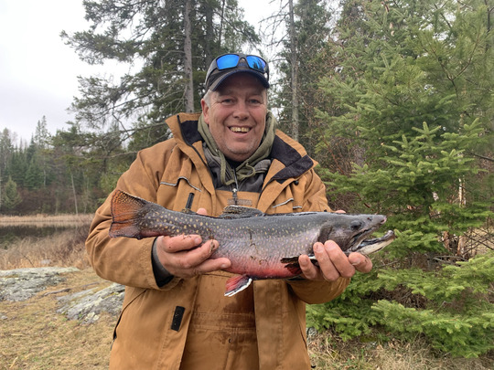 Brook Trout