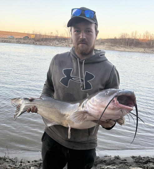 Channel Catfish