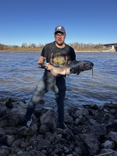 Channel Catfish