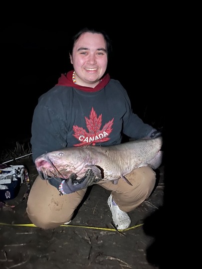 Channel Catfish