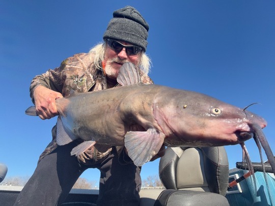 Channel Catfish