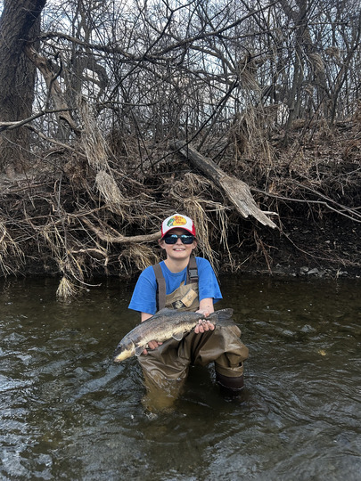 Sucker