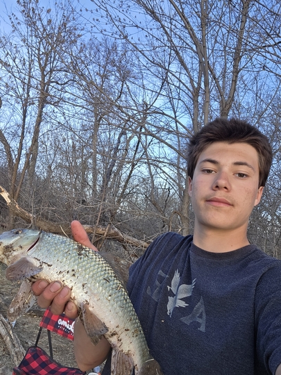Sucker