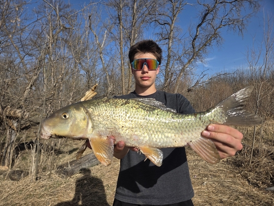 Sucker