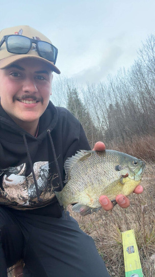 Sunfish