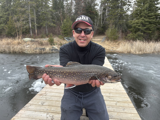 Brook Trout
