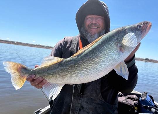 Walleye