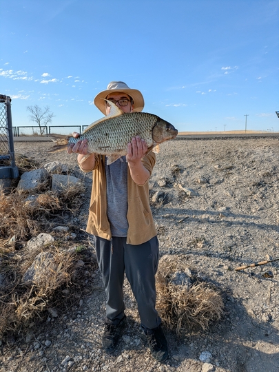 Sucker