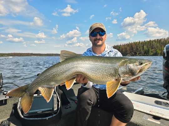 Lake Trout