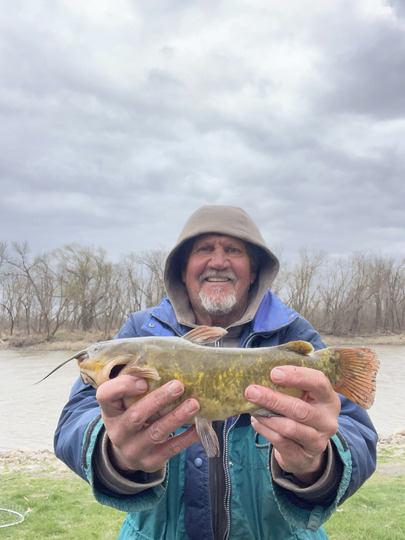 Bullhead