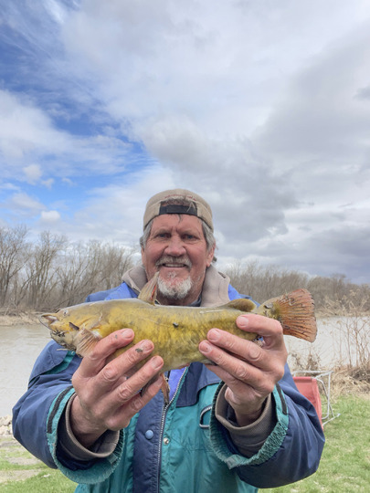Bullhead