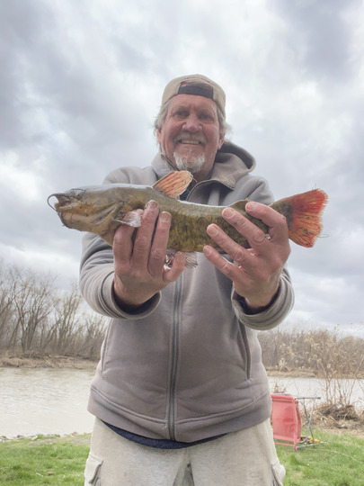 Bullhead