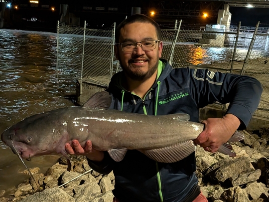 Channel Catfish