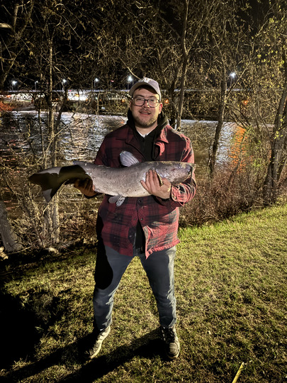 Channel Catfish