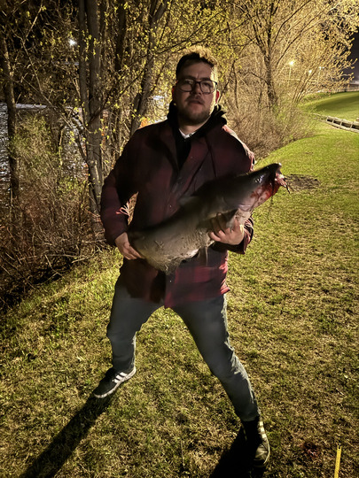 Channel Catfish