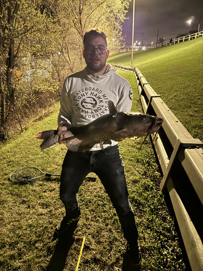 Channel Catfish