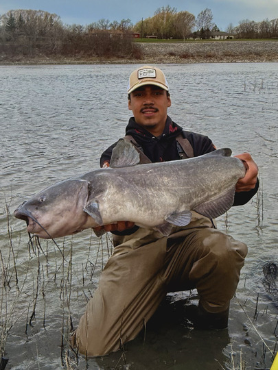 Channel Catfish