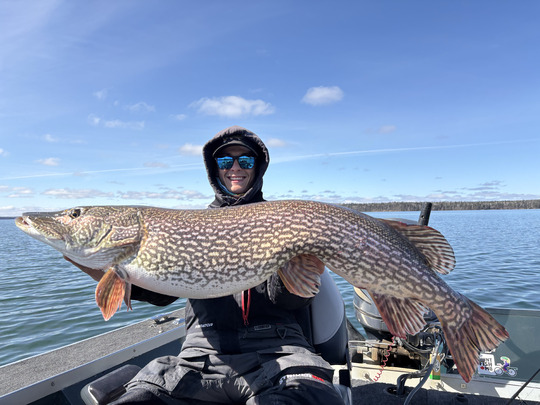 Northern Pike