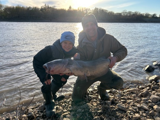 Channel Catfish