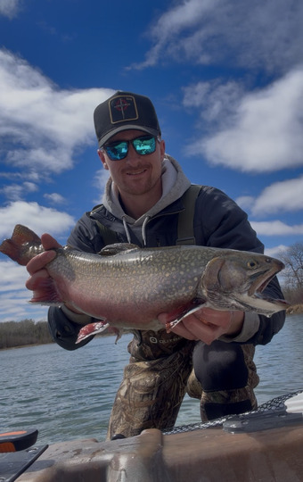Brook Trout