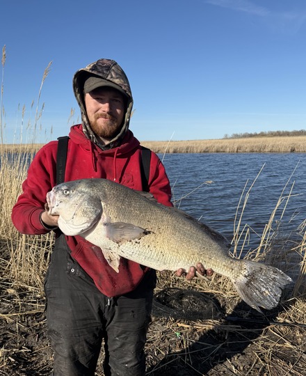 Freshwater Drum