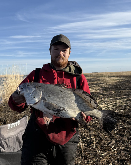 Freshwater Drum