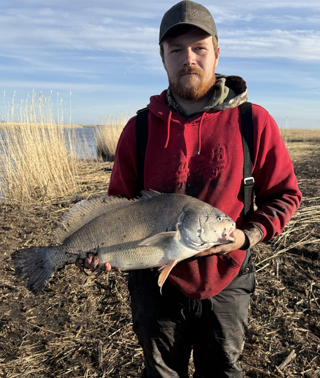 Freshwater Drum