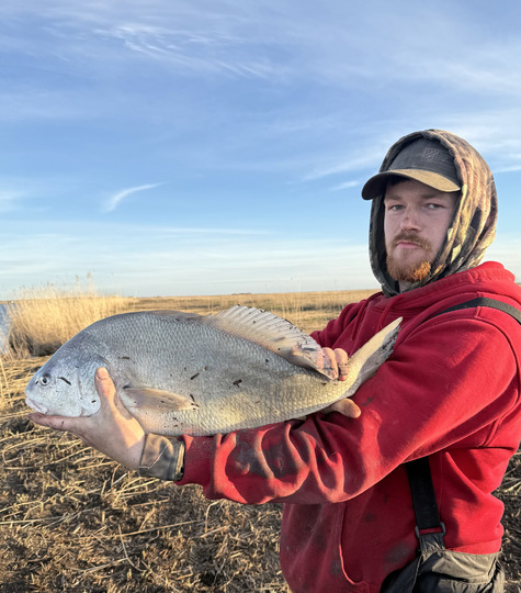 Freshwater Drum