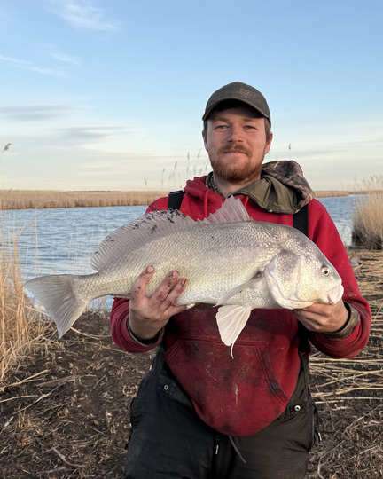 Freshwater Drum