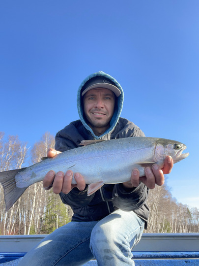Rainbow Trout