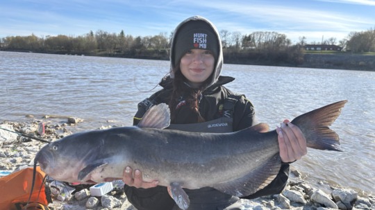 Channel Catfish