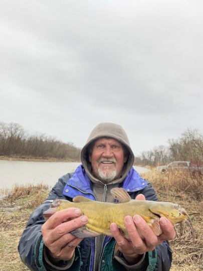 Bullhead