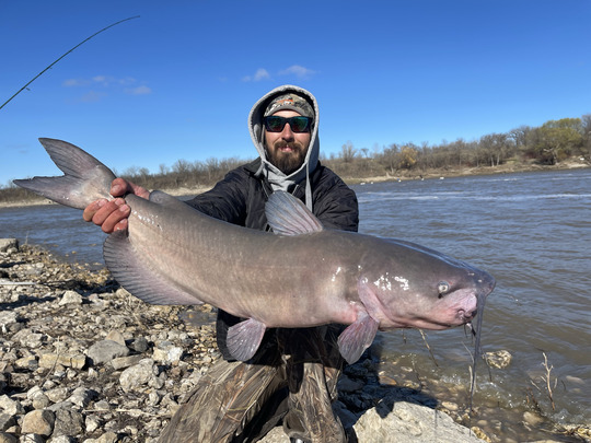 Channel Catfish