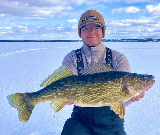 Walleye
