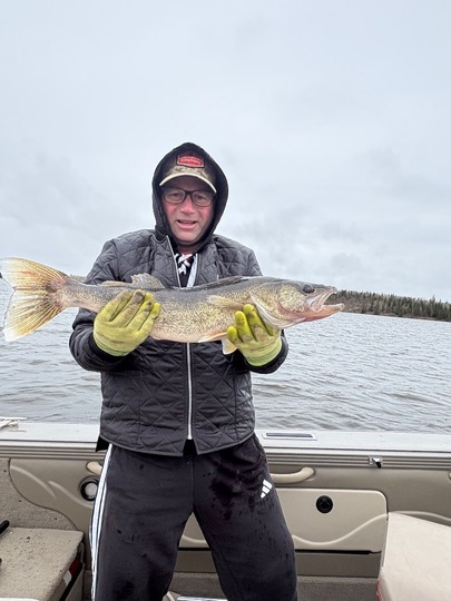Walleye
