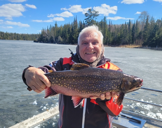 Brook Trout
