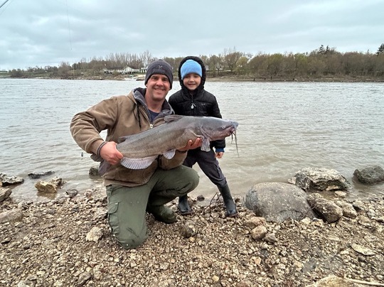Channel Catfish