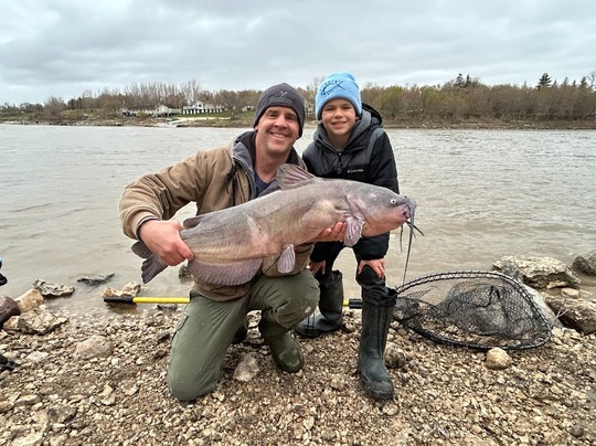Channel Catfish