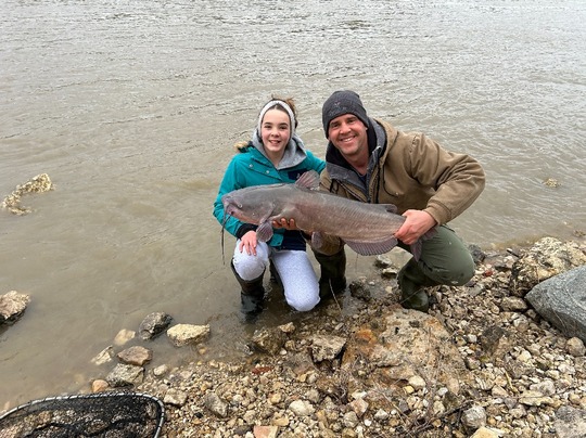 Channel Catfish