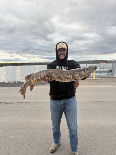 Northern Pike