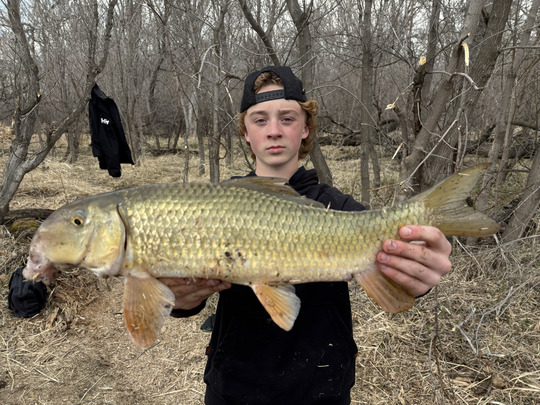Sucker