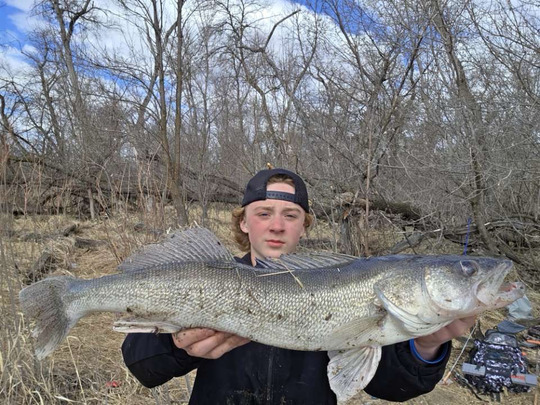 Walleye