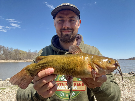 Bullhead