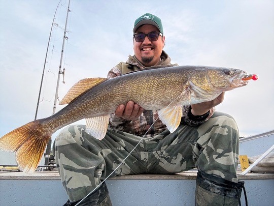 Walleye