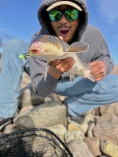 Sucker