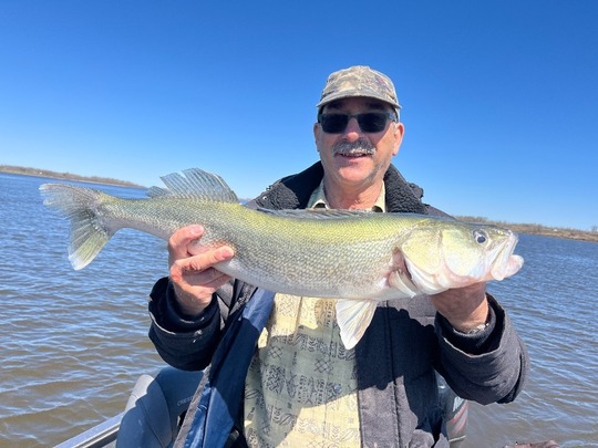 Walleye