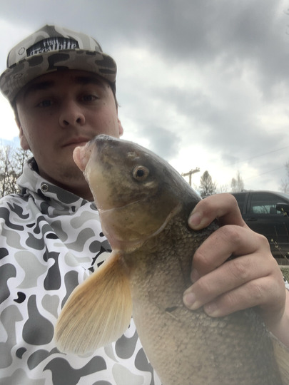 Sucker