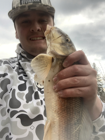 Sucker