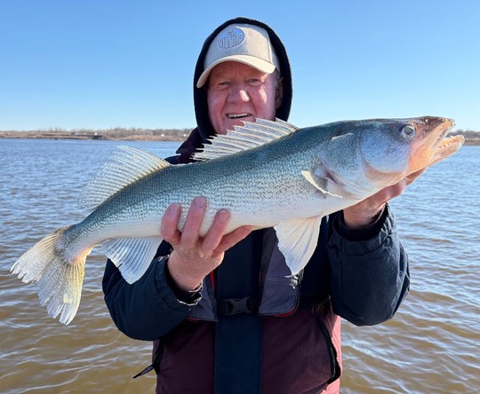 Walleye
